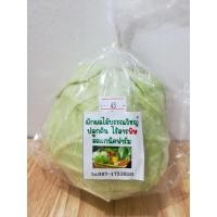 ราคา ผักกะหล่ำปลีออแกนิค : Healthy Hut (199)
