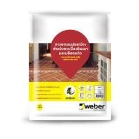 ราคา Weber กาวยาแนว เวเบอร์คัลเลอร์ พลัส 1 กก. สีเทา (8855401006166)