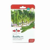 ราคา ศรแดง เมล็ดพันธุ์-มะเขือยาวสีเขียวลูกผสม ท็อปกัน F1 (8858939711397)