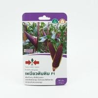 ราคา ศรแดง เมล็ดพันธุ์-ข้าวโพดข้าวเหนียวสีม่วงลูกผสม เหนียวทับทิม F1 (8858939711625)