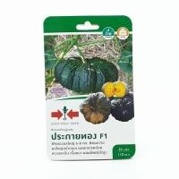 ราคา ศรแดง เมล็ดพันธุ์-ฟักทองผลใหญ่ลูกผสม ประกายทอง F1 (8858939711465)