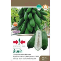 ราคา ศรแดง เมล็ดพันธุ์-มะละกอแขกนวลลูกผสม ส้มตำ F1 (8858939711786)