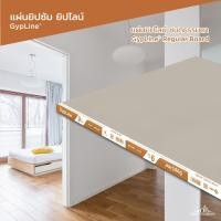ราคา ยิปไลน์ ยิปซั่มบอร์ด ชนิดธรรมดา 9มม.x120x240 ซม. ขอบลาด (8858909502123)