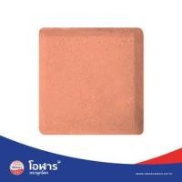 ราคา โอฬาร บล็อกปูถนน รุ่น เกล็ดศิลา 6x8x8ซม. สีอิฐ (012303304655)