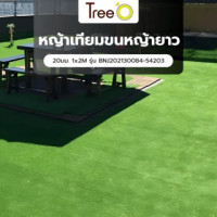 ราคา Tree O หญ้าเทียม ขนหญ้ายาว 20มม. 1x2M รุ่น BNJ202130084-54203 (3922007210046)