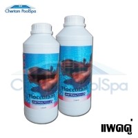 ราคา (แพคคู่) น้ำยาเร่งให้ตะกอน ทำน้ำใส FLOCCULANT ASTRAL POOL 1 ลิตร