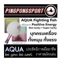 ราคา ไม้ปิงปองประกอบจัดชุด PPH Fighting Fish + ยางปิงปอง Tuttle Positive Energy Super Tacky & Non Tacky