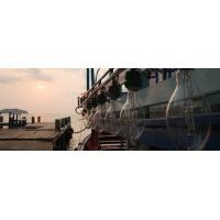 ราคา กิจกรรมตกหมึกตอนกลางคืนที่เผิงหู (1092)