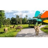 ราคา บัตรเข้าสวนสัตว์วินเพิร์ลซาฟารี (Vinpearl Safari) (11990)
