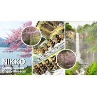 ราคา ทัวร์นิกโก้หนึ่งวันด้วยรถเช่าส่วนตัวพร้อมพนักงานขับรถ (เดินทางจากโตเกียว) (105421)