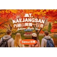 ราคา ทัวร์ชมใบไม้เปลี่ยนสีที่อุทยานแห่งชาติเนจางซานในจังหวัดช็อลลาใต้ จากโซล โดยบริษัท KTOURSTORY (5474)