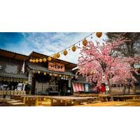 ราคา ทัวร์คาเฟ่สไตล์ญี่ปุ่นในบางแสน (Airplane Cafe, Fish Market) (89042)