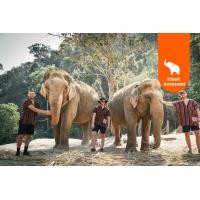 ราคา **ประสบการณ์**ที่ Elephant Jungle Sanctuary **เชียงใหม่** (3631)