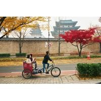 ราคา ทัวร์นั่งรถสามล้อถีบในโซล (15415)