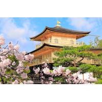 ราคา เยี่ยมชมเมืองหลวงเก่าแก่เกียวโต|ทัวร์วัดคินคาคุจิ อาราชิยามะ ย่านฟูชิมิ และหมู่บ้านมุงจากมิยามะ หนึ่งวัน (ออกเดินทางจากโอซาก้า/เกียวโต) (140076)