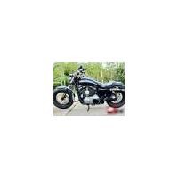 ราคา 2019 Harley Davidson Sportster 1200 Custom (3682)(นครศรีธรรมราช)
