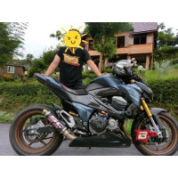 ราคา 2015 Kawasaki Z800 (773)(ชลบุรี)