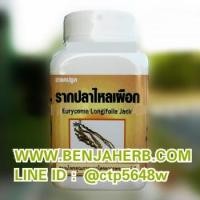 ราคา รากปลาไหลเผือกแคปซูล จิรวรรณสมุนไพร (ขวด) 100 แคปซูล (823)