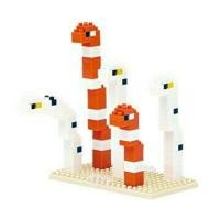 ราคา Spotted Garden Eel & Splendid Garden Eel_nanoblock (23)