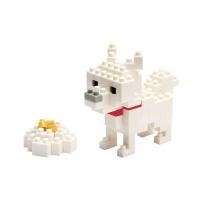 ราคา Hokkaido Dog (437)