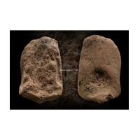 ราคา เศษพระวัดตะไกรหน้ามงคล (6653195)