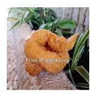 ราคา 1 อัน ขี้ปลอม อึปลอม อุจจาระปลอม อุนจิปลอม ของเล่นแกล้งคน ทำจากยางพารา เหมือนมาก (7249493)