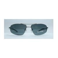 ราคา แว่นกันแดด HARLEY DAVIDSON HDX815 สีเหล็ก (7121215)
