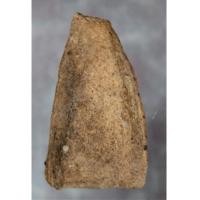 ราคา พระเลี่ยงลำพูนเนื้อดิน กรุประตูลี้ ลำพูน(ด้านหลัง) (3780852)