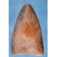 ราคา พระวัดตะไกรหน้าครุฑ กรุเก่าวัดตะไกร อยุธยา(ด้านหลัง) (2728846)