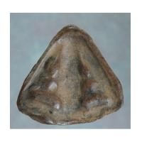 ราคา พระกำแพงนางลูกแป้งคู่กรุกลางทุ่ง กำแพงเพชร (2366318)