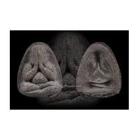 ราคา พระปิดตาเนื้อผงผสมแร่มงคล รุ่นชุนดูฮวาน หลวงปู่โต๊ะ วัดประดู่ฉิมพลีปลุกเสก (7188448)