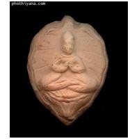 ราคา พระโพธิจักร ท่านพ่อลี (1144880)