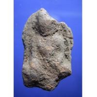 ราคา พระวัดตะไกรหน้ามงคล (New) 9 (528274)