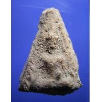 ราคา พระพิจิตรข้างเม็ด เนื้อดิน กรุวัดมหาธาตุ สุโขทัย (New) (445384)