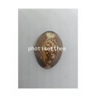 ราคา เบี้ยแก้ หลวงพ่อเกษม เขมโก สุสานไตรลักษณ์ จังหวัดลำปาง (7185952)