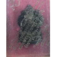 ราคา พระพิฆเนศวร ลอยองค์ เนื้อทองแดง หลวงพ่อชำนาญ วัดบางกุฎีทอง ปี2546 กล่องเดิม/9188 (6420007)