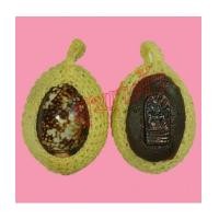 ราคา เบี้ยแก้ ปรอทดิ้นกินทอง รุ่นแรก หลวงปู่บุญ วัดแสงน้อยอุบลราชธานี (5371748)