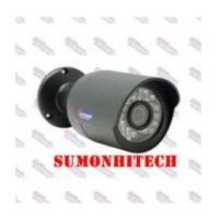 ราคา WATASHI WIP021 (5745356)