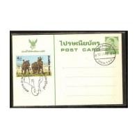ราคา ไปรษณียบัตรที่ระลึกงานแสดงของช้าง ปี 2517 (2117608)