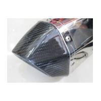 ราคา ปลายท่อสแตลเลสทรง AKRAPOVIC ปลายคาร์บอน รุ่นสั้น (5161418)