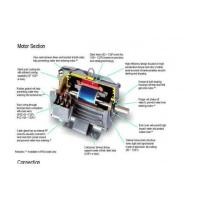 ราคา มอเตอร์มิตซูบิชิ 10 แรงม้า รุ่น SF-JR 10 HP 4 P (6961973)