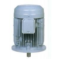 ราคา มอเตอร์ฮิตาชิ Hitachi แบบหน้าแปลน 10 แรงม้า รุ่น 10 VTFO-KK(DK)(L,H) (6953572)