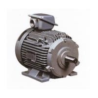 ราคา มอเตอร์ฮิตาชิ HITACHI 10 แรงม้าไฟ 3 เฟส รุ่น 10 TFO-KK (DK) (6953553)