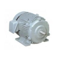ราคา มอเตอร์ HITACHI 3 แรงม้า รุ่น 3 TFO-K (DK)/3HP/380V (5968725)