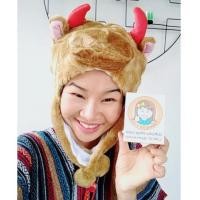 ราคา หมวกแฟนซี หมวกหัวสัตว์ หมวกมาสคอต หัววัว เขาแดง (สีน้ำตาล) (4286631)