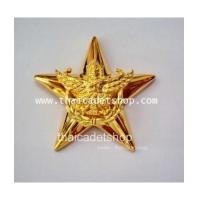 ราคา เครื่องหมายเสธทหารอากาศ (5791821)