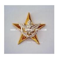 ราคา เครื่องหมายเสธทหารอากาศ (5791818)