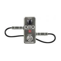 ราคา TC ELECTRONIC DITTO LOOPER (6251932)