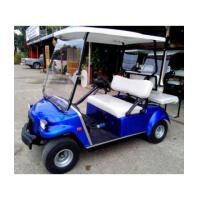 ราคา รถกอล์ฟไฟฟ้าโซล่าเซลล์ Cario 2-4 ที่นั่ง ปี 2009 สีน้ำเงิน บูรณะใหม่ (5950256)