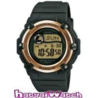 Casio Baby-G (BG-3000-3DR)